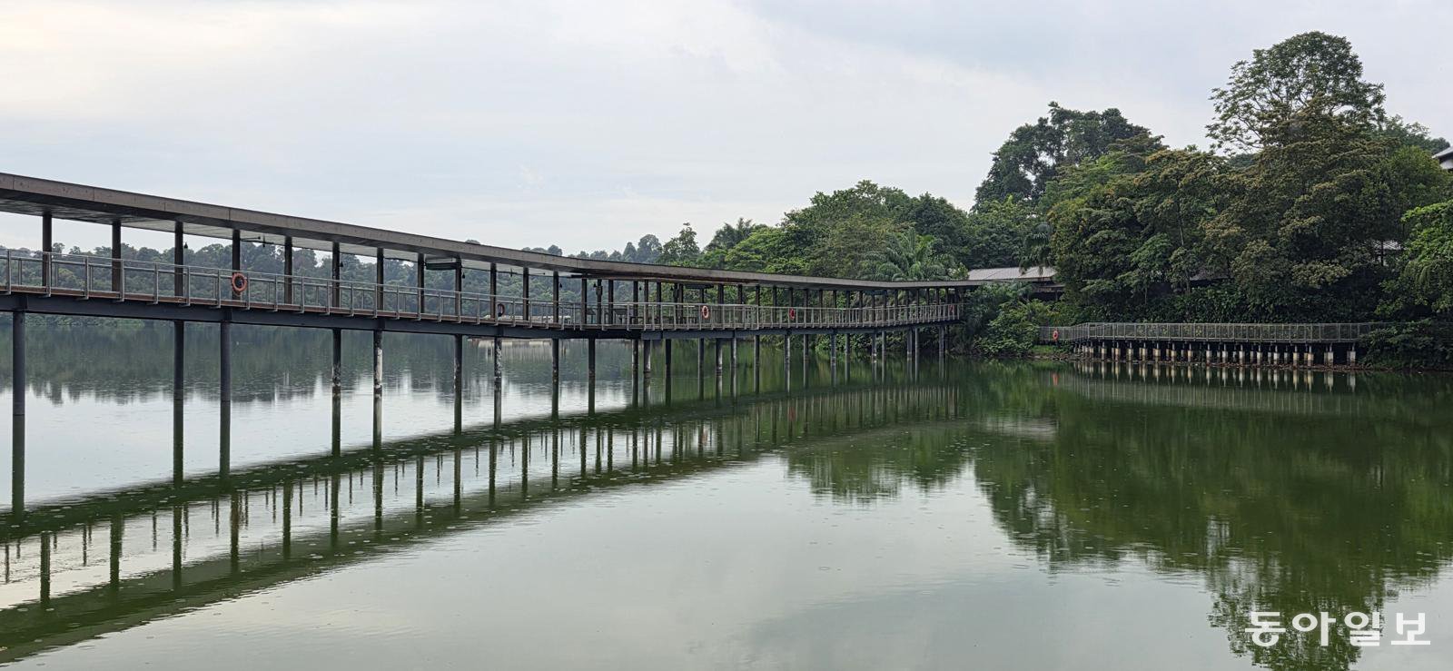 싱가포르 북부 만다이에 올해 1월 개장한 자연 산책로 ‘만다이 보드워크’. 야생동물의 이동 경로를 방해하지 않게 설계됐다.