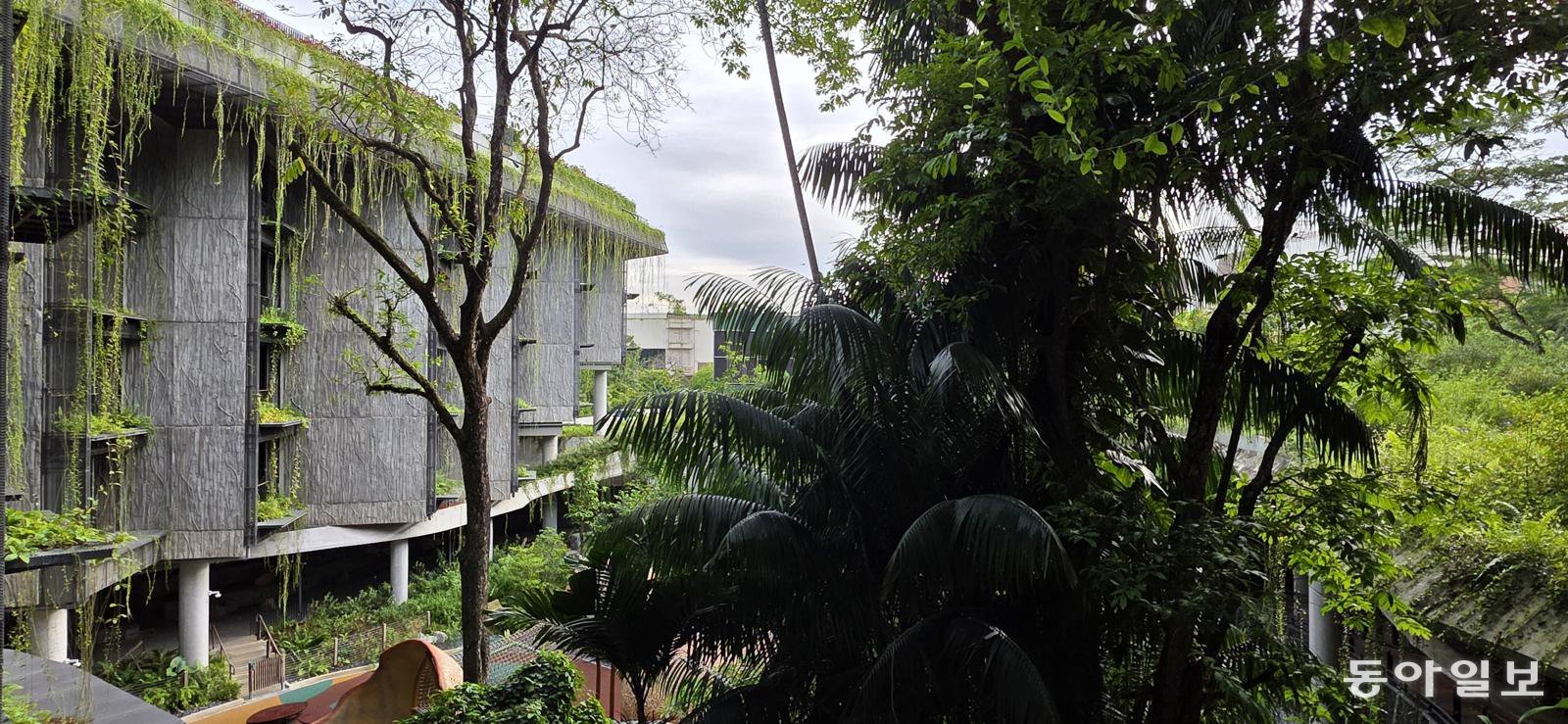 초록색 덩굴 식물이 빗물 형태로 건물을 덮은 리조트 숙박동.