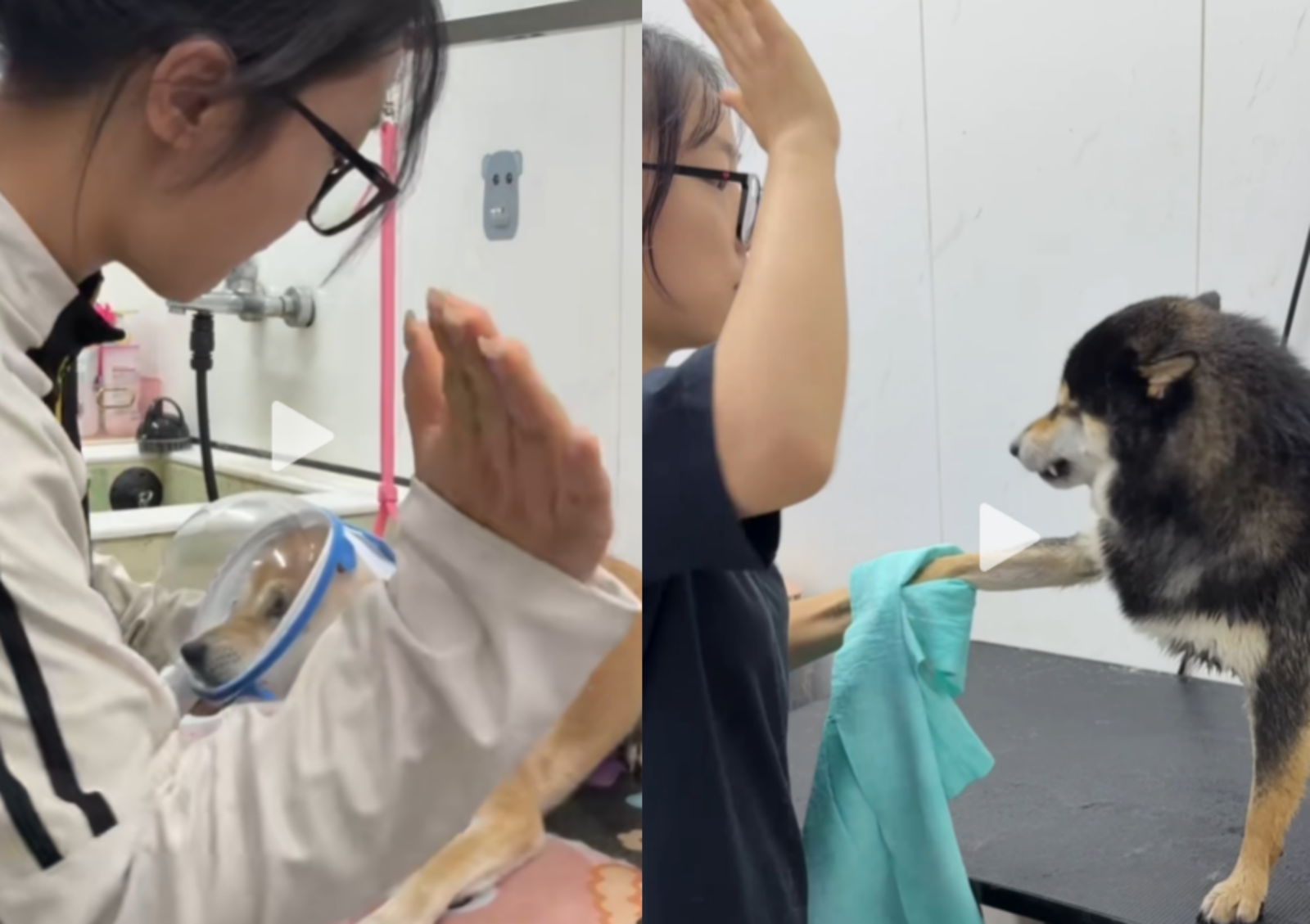 사진=도우인 캡쳐.