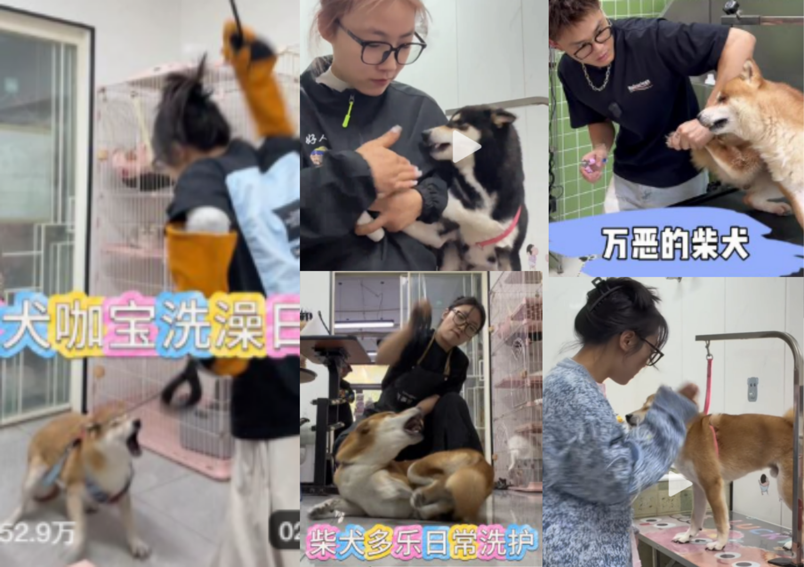 사진=도우인 캡쳐.