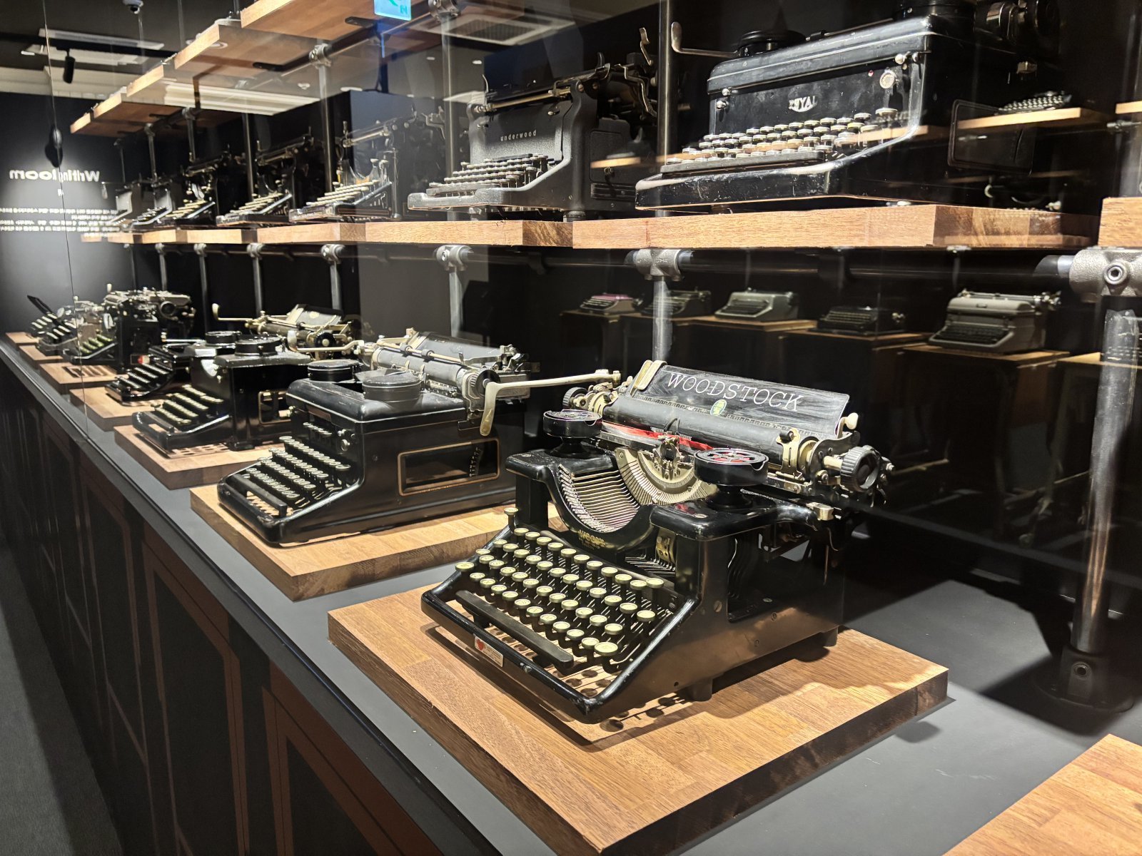 황소영 기자 fangso@donga.com