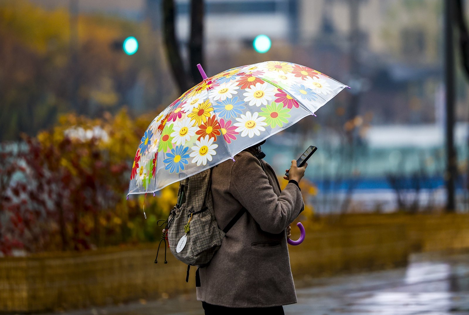 비가 내린 25일 서울 종로구 광화문광장에서 우산을 쓴 시민이 낙엽을 밟으며 이동하고 있다. 2025.11.25. [서울=뉴시스]