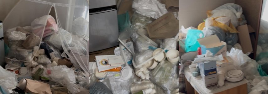 집주인이 공개한 사진. 보배드림