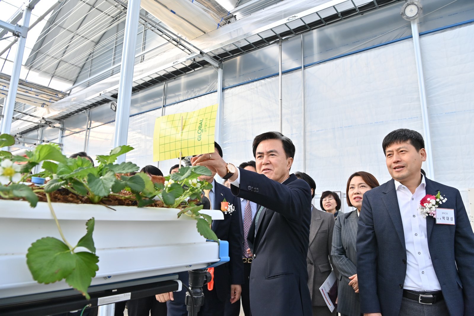 충남 서산 SP아그리의 여름 딸기 전용 온실을 시찰하는 김태흠 충남도지사(가운데). 충남도 제공