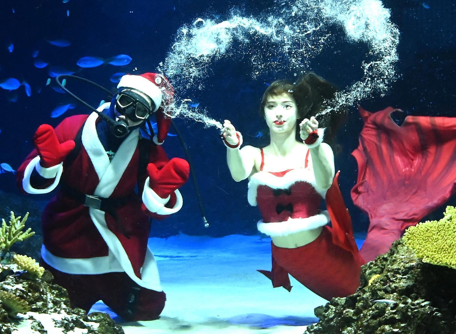 산타와 인어 아가씨의 ‘크리스마스 공연’