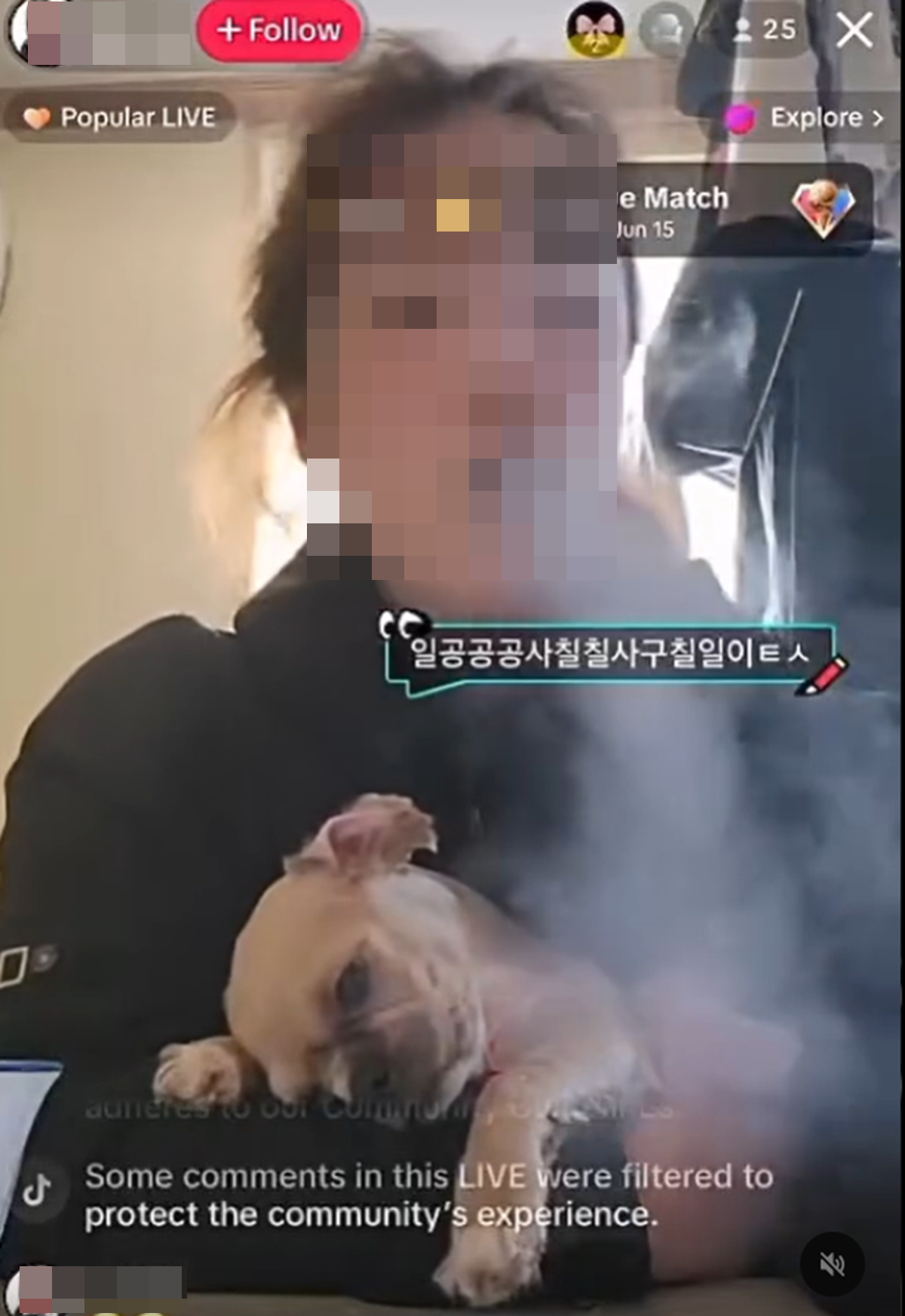 제보자 B씨가 설명한 6개월 전 틱톡 라이브 장면. 예쁜 옷을 입고 있었지만 유난히 슬픈 표정의 강아지가 화면에 포착됐다. 스레드 갈무리