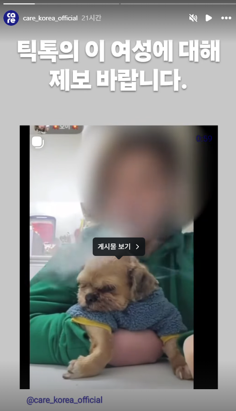 동물권 단체 케어가 해당 틱톡 동물학대 사건과 관련해 제보를 요청하는 내용을 인스타그램 스토리에 게시했다. 케어 인스타 캡처