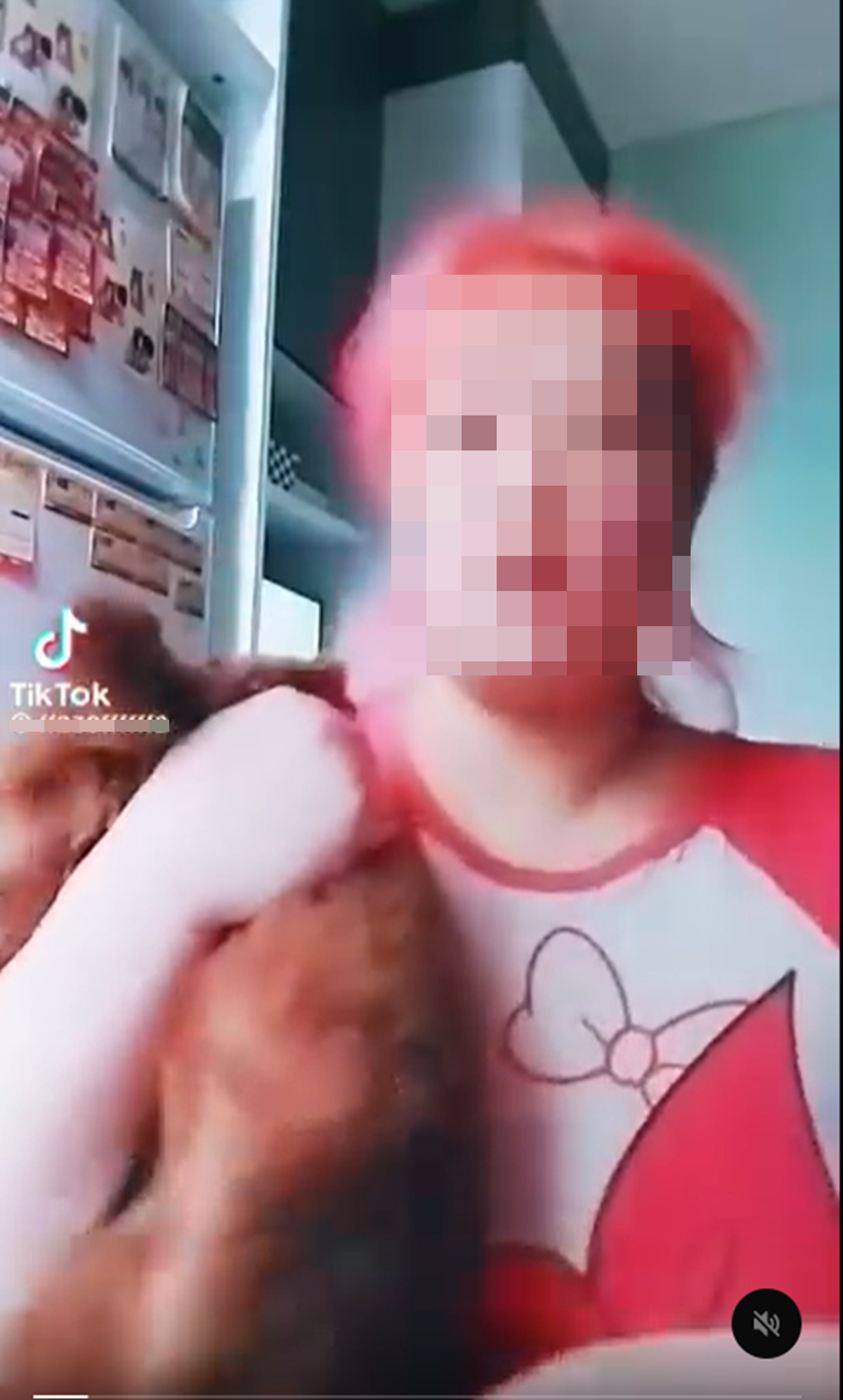 해당 여성의 과거 틱톡 영상에 등장한 푸들 모습. 누리꾼들 사이에서는 이전에도 반려견 학대가 있었을 가능성이 제기되고 있다. 스레드 갈무리