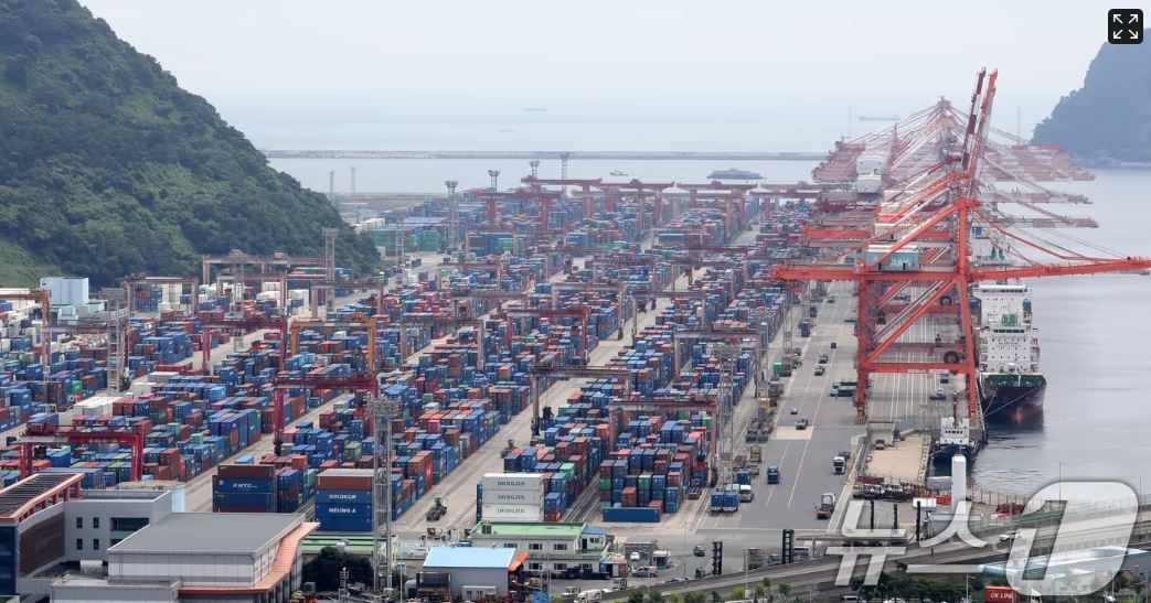 부산항 신선대부두 야적장에 컨테이너가 가득 쌓여 있는 모습. 2025.8.11 뉴스1