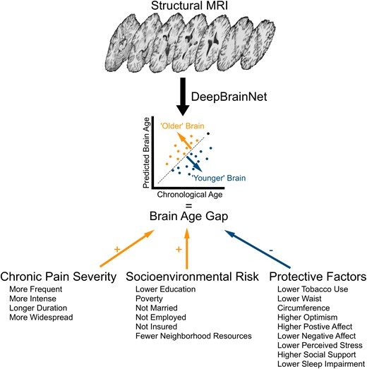 학술지 ‘Brain Communications’에서 발췌.