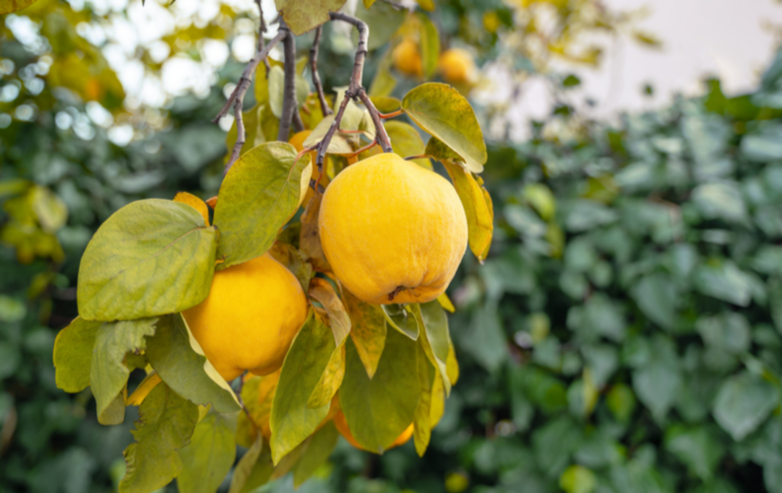 사진=게티이미지뱅크.