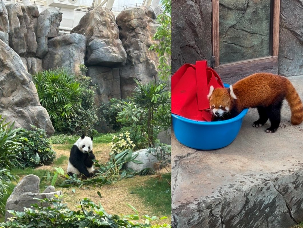 김수연 기자 xunnio410@donga.com