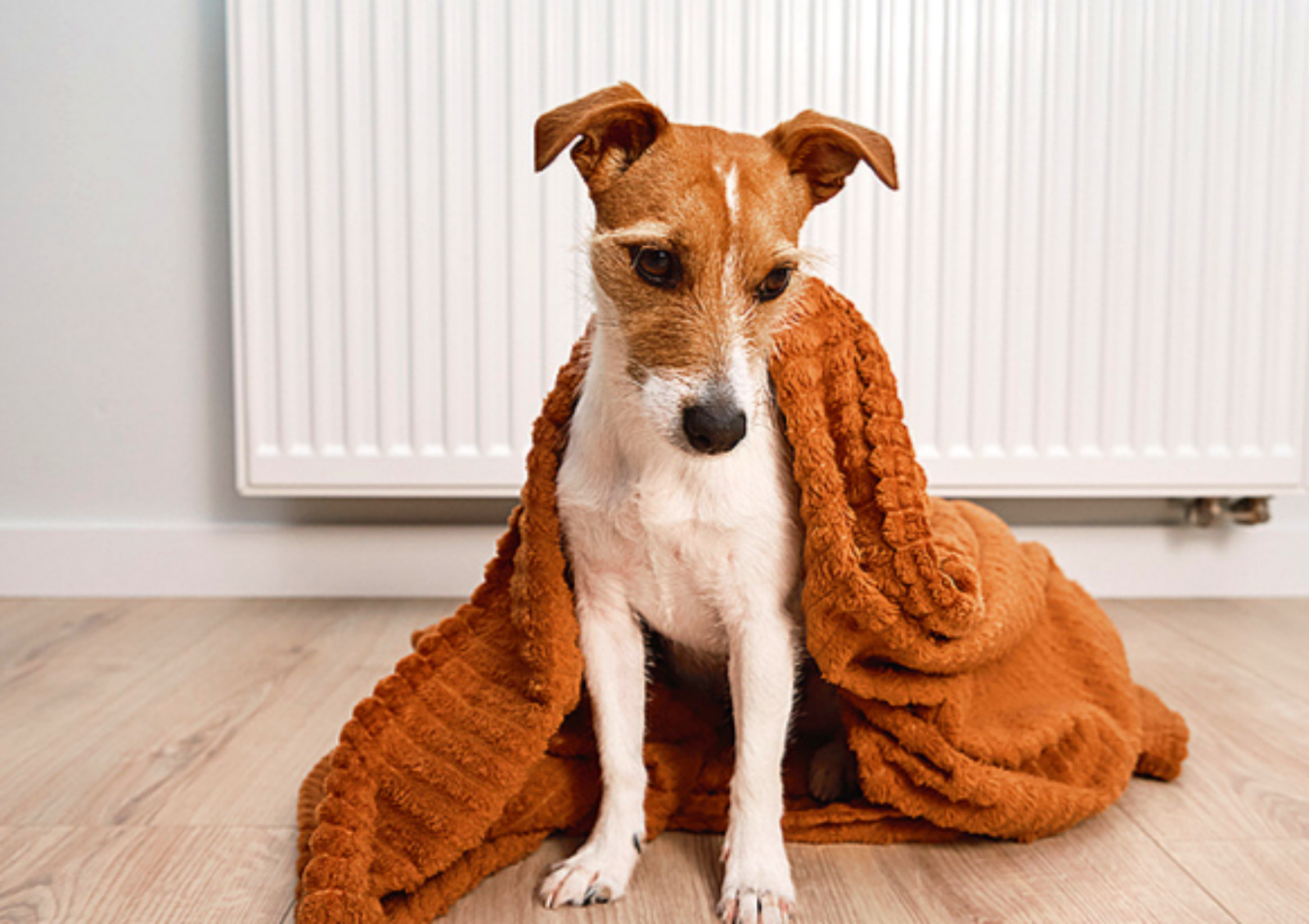 보일러 배관 내 이물질과 녹물은 난방 효율을 떨어뜨리는 주범이므로 2~3년 주기로 전문 업체를 통한 배관 세척이 권장된다. 사진=게티이미지뱅크.