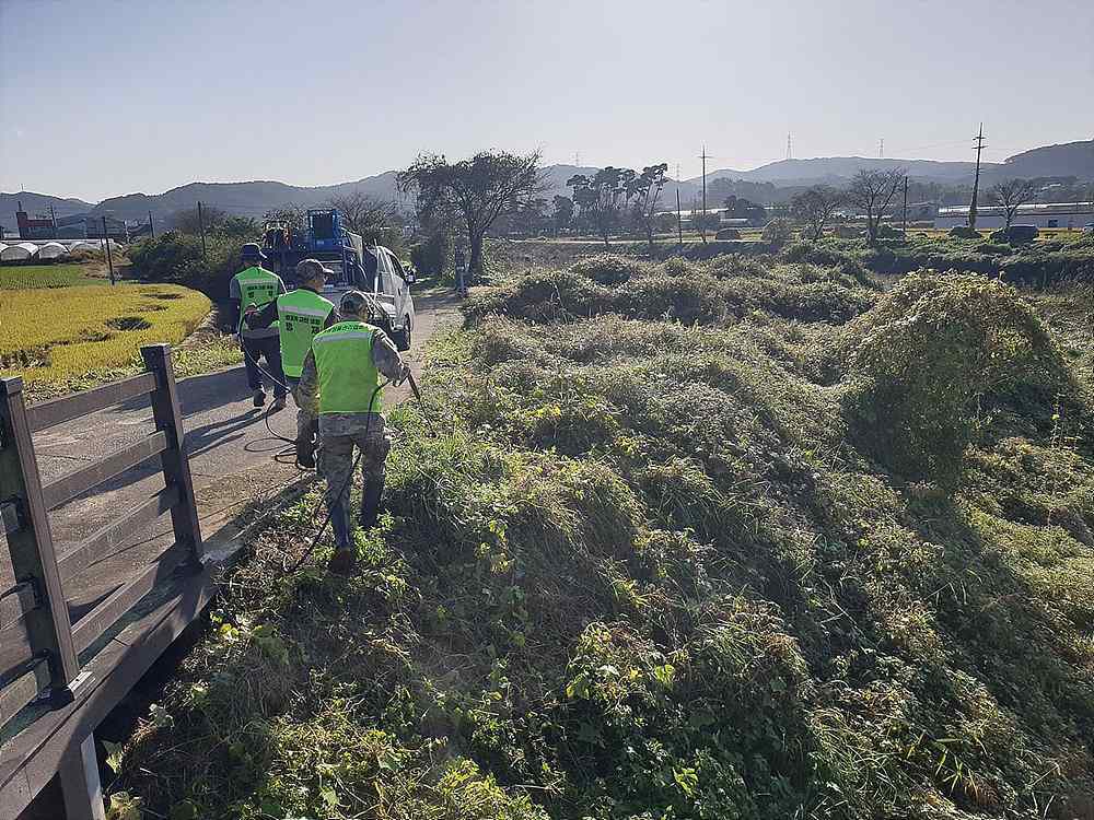 한경환경보전이 고유의 기술로 생태계교란식물 가시박을 박멸하는 모습 / 출처=한경환경보전