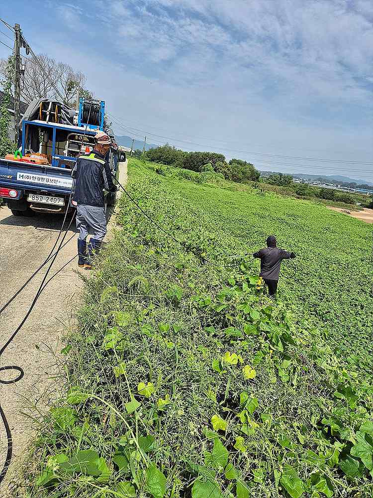 한경환경보전이 고유의 기술로 생태계교란식물 가시박을 박멸하는 모습 / 출처=한경환경보전