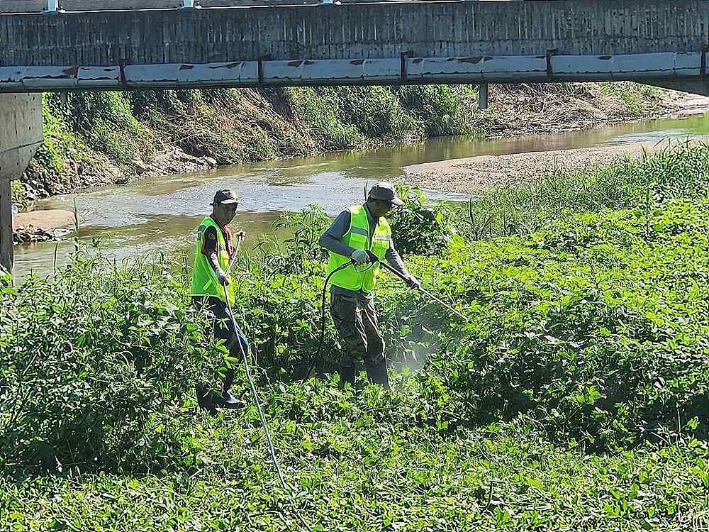 한경환경보전이 고유의 기술로 생태계교란식물 가시박을 박멸하는 모습 / 출처=한경환경보전