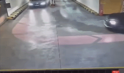 보배드림 제보 영상 갈무리