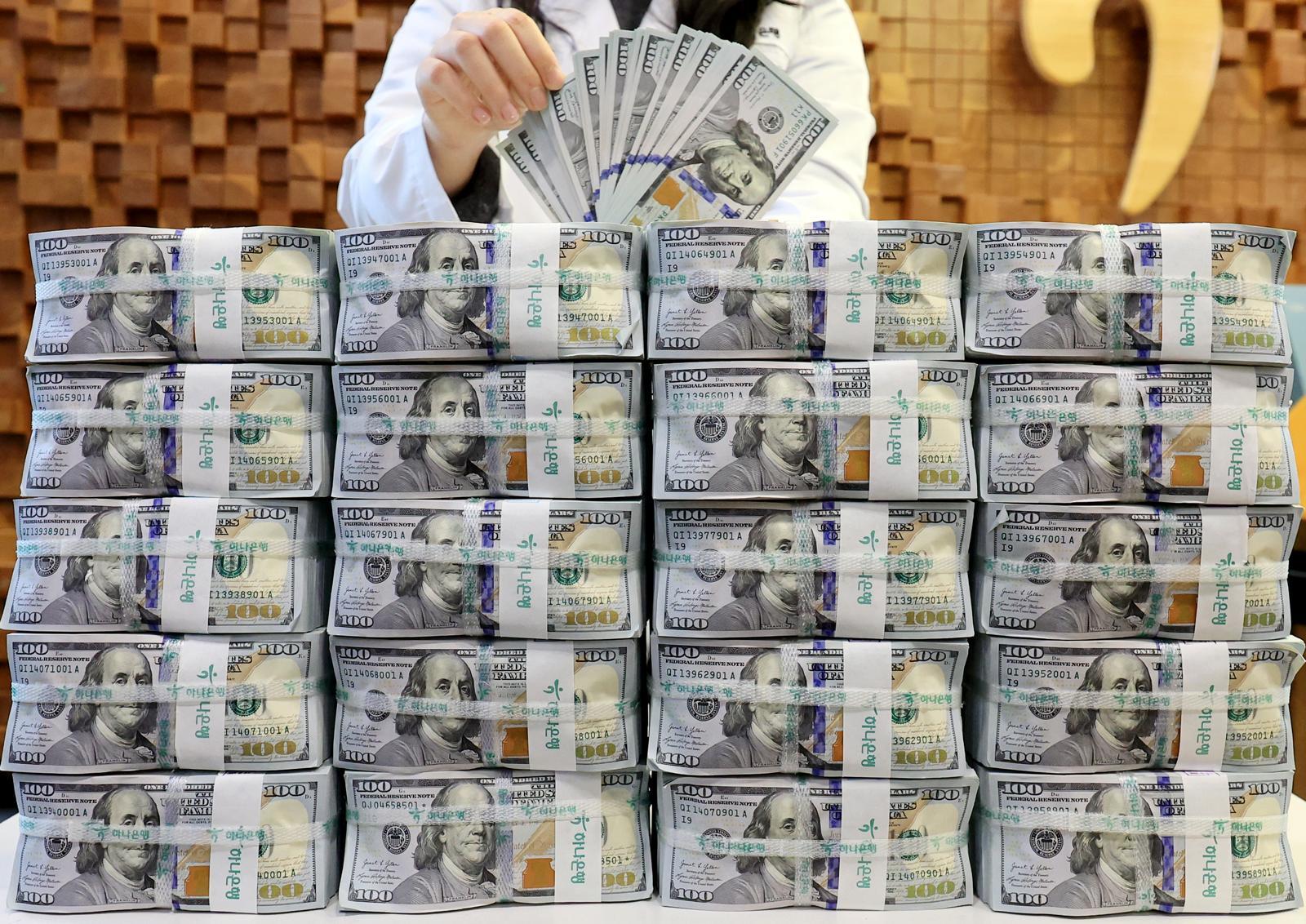 서울 중구 하나은행 위변조대응센터에서 은행 관계자가 달러화를 정리하는 모습. 2025.12.3.뉴스1