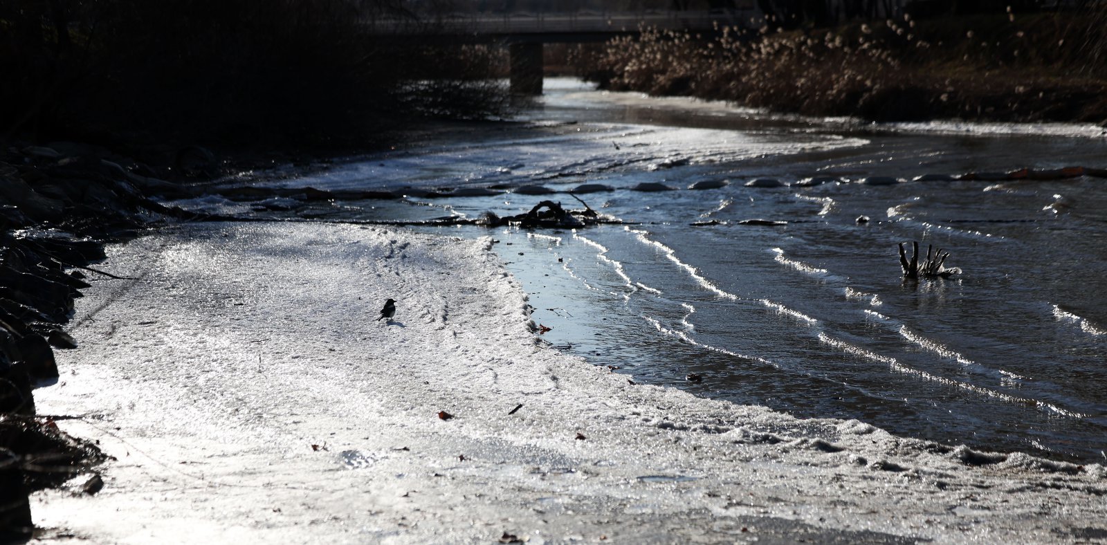 서울 최저기온이 -12도를 기록하며 올해 첫 한파주의보가 발효된 26일 서울 서초구 반포동 한강변에 얼음이 얼어있다. 2025.12.26.[서울=뉴시스]