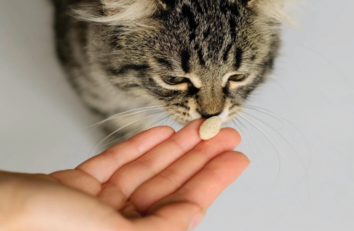 가장 정확한 약 보관 방법은 처방한 병원에서 안내받아야 한다. GETTYIMAGES