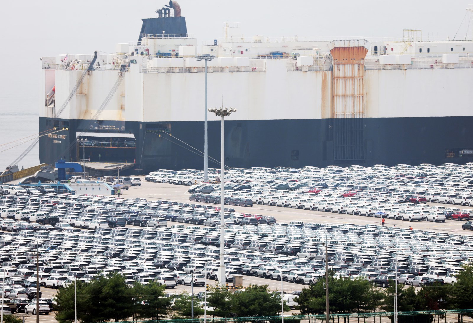 7일 오후 경기 평택시 포승읍 평택항에 수출용 차량들이 세워져 있는 모습. 2025.7.7 뉴스1