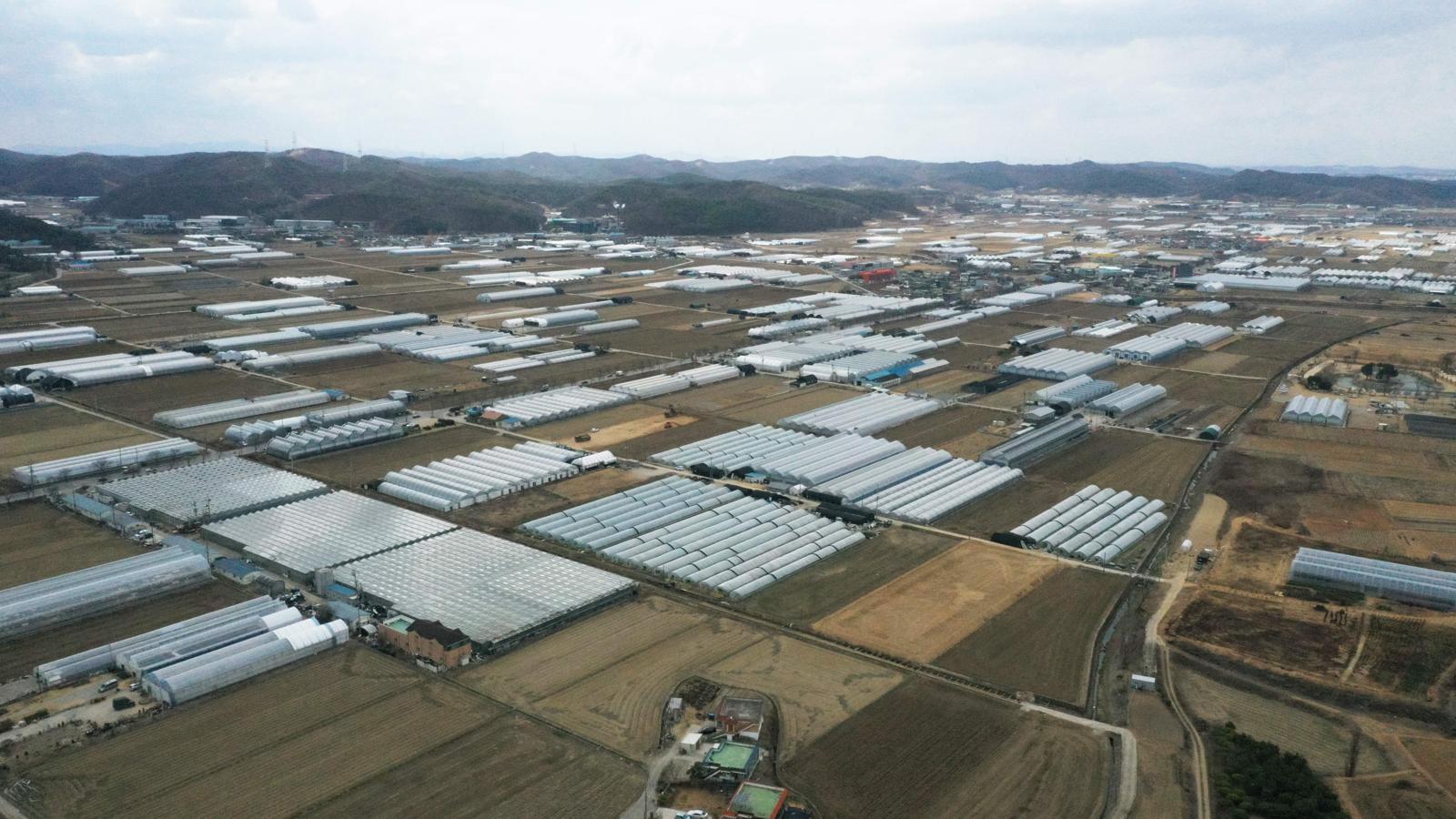 반도체 클러스터 조성 예정지인 경기도 용인시 남사읍 모습.  뉴시스