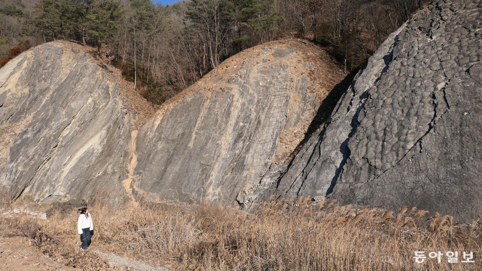 강원 영월군 북면 문곡리에서 4억5000만 년을 살아온 바위들. 오른쪽 것이 스트로마톨라이트이고 다른 두 개에서 건열 구조를 살펴볼 수 있다. 그 아득한 시간 앞에서 인간의 지혜, 명예, 부, 권력은 보잘것없어 보인다.