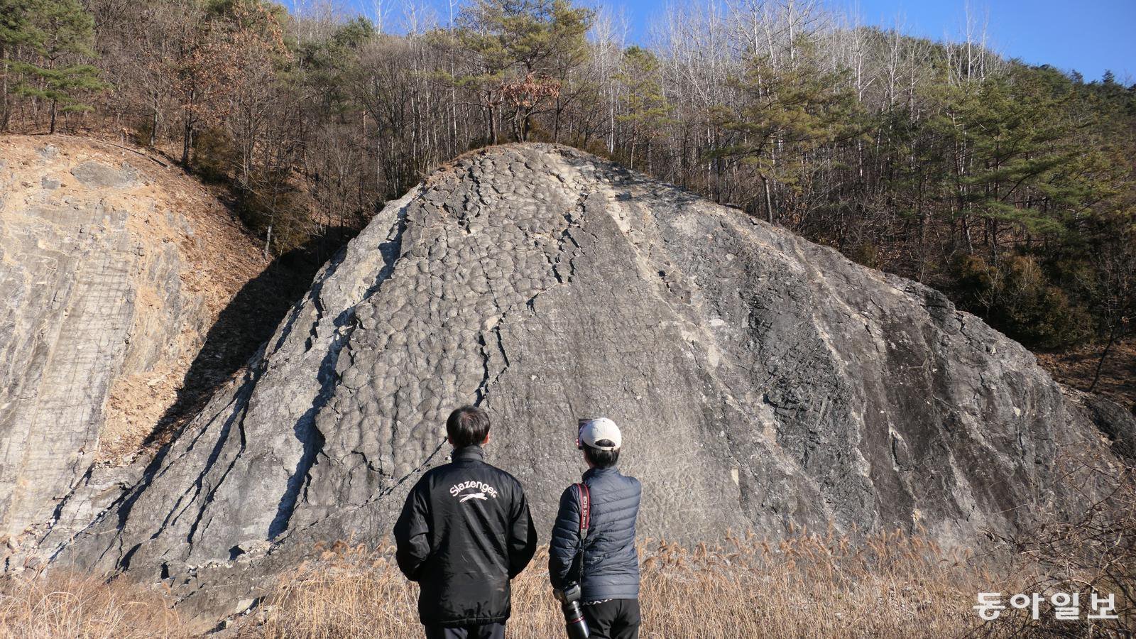 문곡리 스트로마톨라이트.
