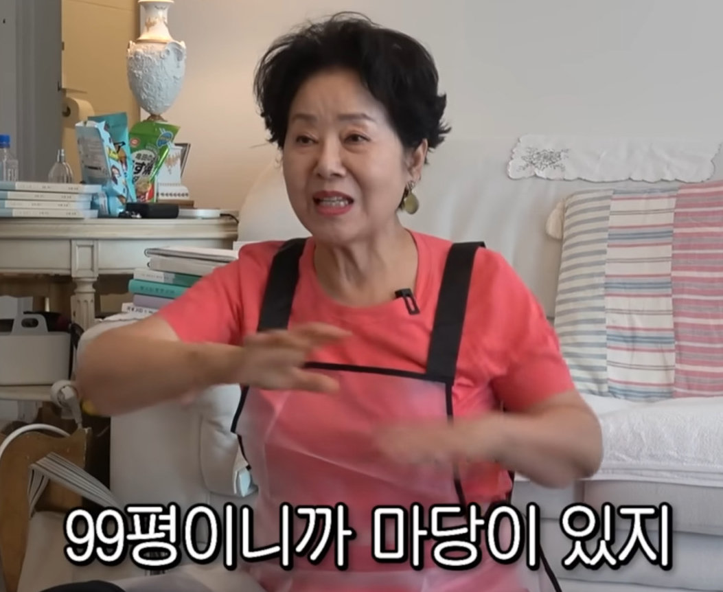 배우 선우용여가 유튜브를 통해 반포 주공아파트에서 청담동 마당 있는 대형 주택으로 옮기게 된 사연과 집값 상승 경험을 공개했다. 유튜브 채널 ‘순풍 선우용여’