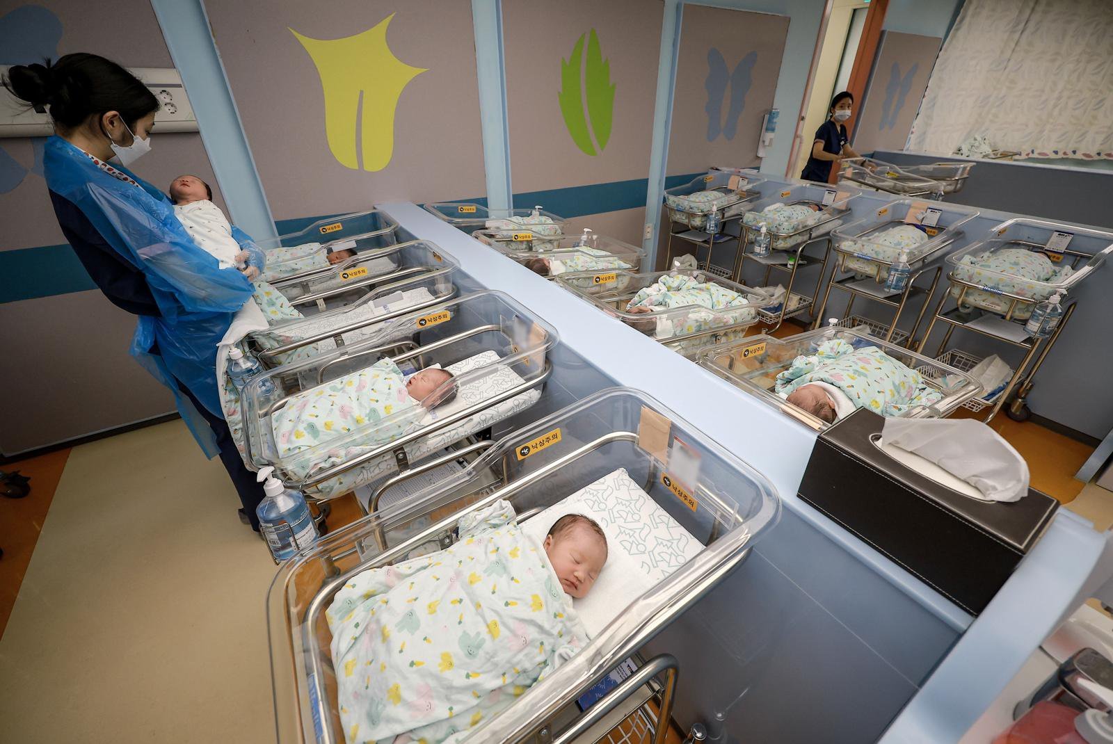 25일 경기 고양시 CHA의과학대학교 일산차병원 신생아실에서 간호사가 신생아들을 돌보고 있다 . 2025.09.25. [고양=뉴시스]