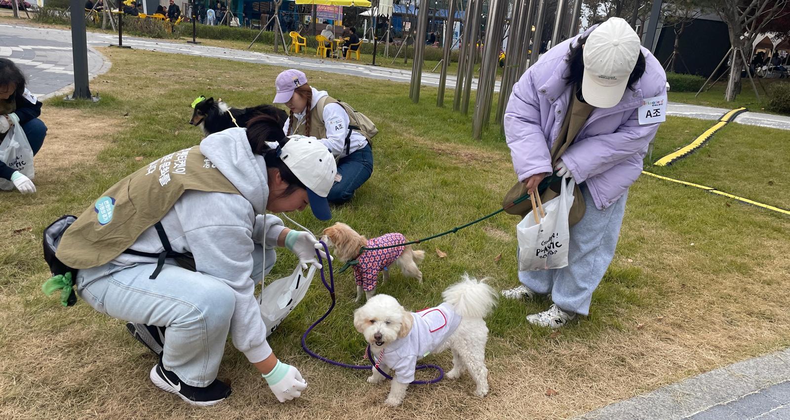 지난해 말 반려마루 여주 ‘펫리더스 봉사단’이 경기 여주시 신륵사 일대 공원 등을 돌며 유기 동물 입양 홍보와 함께 환경정화 활동을 하고 있다. 경기도 제공