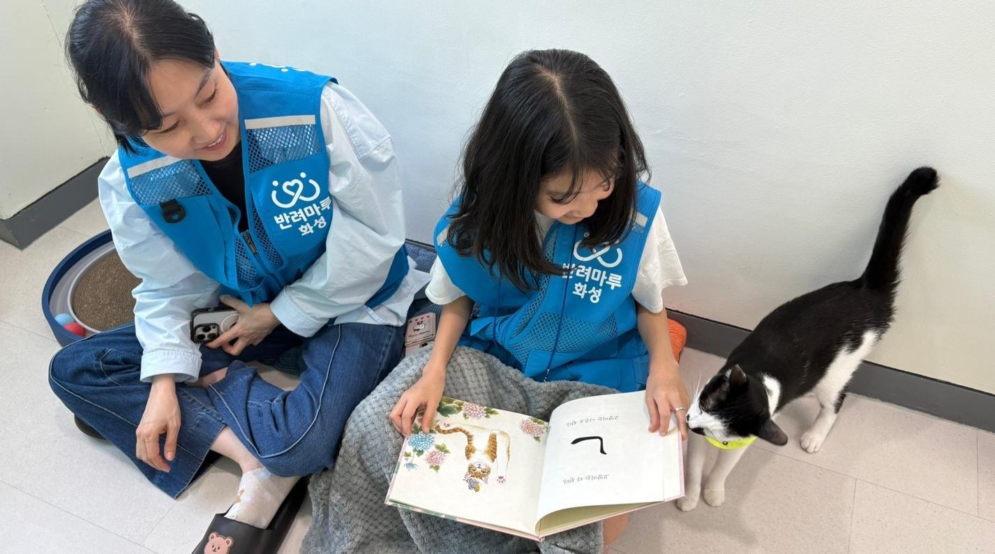 지난해 5월 문을 연 반려마루 화성 고양이입양센터에서 한 어린이가 고양이에게 책을 읽어주며 교감을 나누는 모습. 경기도 제공