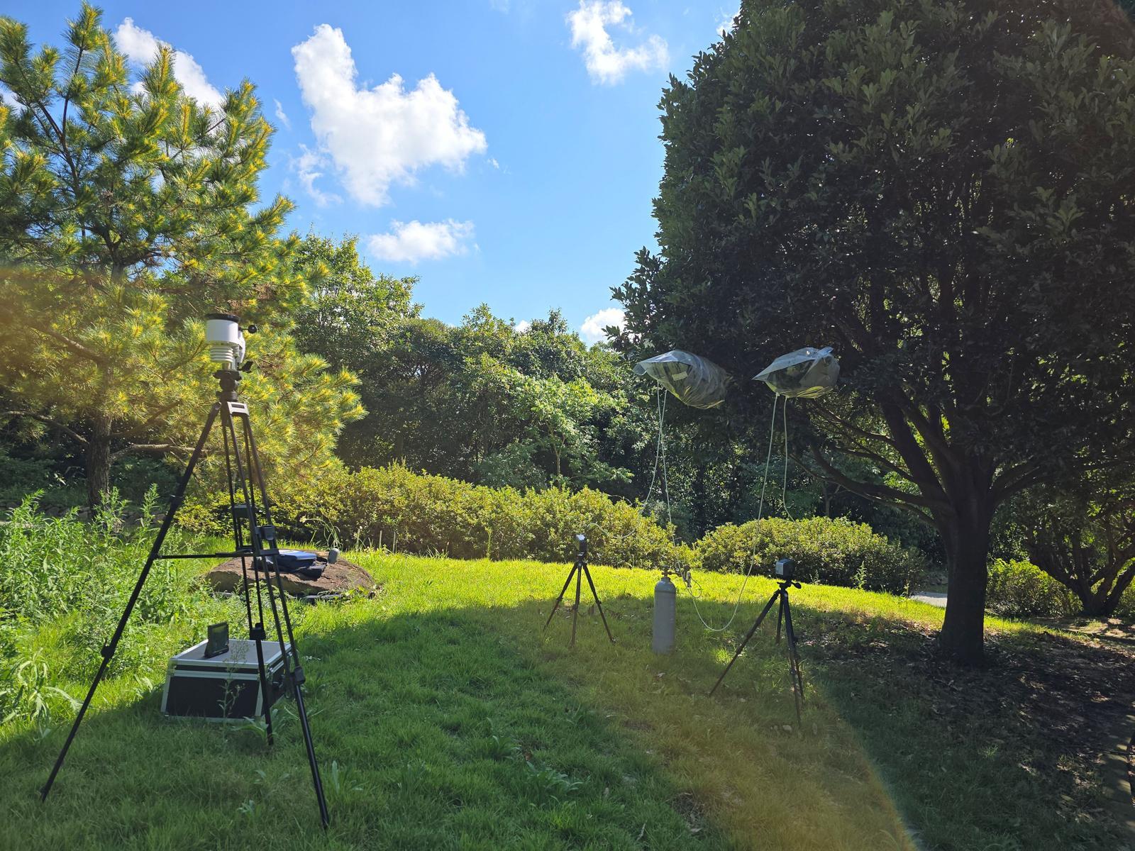 전남도산림연구원이 난대 숲에 자생하는 생달나무의 피톤치드 발산 추이를 조사하기 위해 설치한 포집 장비. 전남도산림연구원 제공