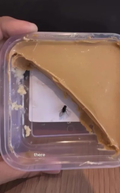 음식에 파리가 들어가 있는 것처럼 합성한 한 소비자.