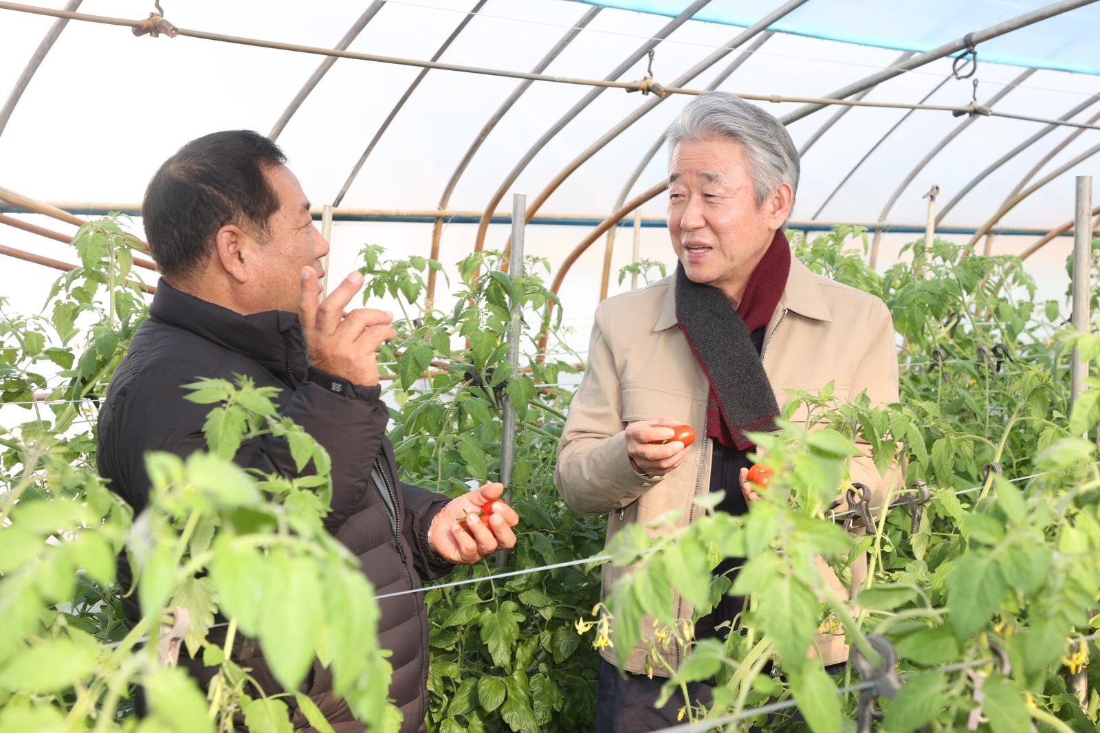 농협중앙회 강호동 회장, 새해 첫 현장경영으로 보급형 스마트팜 농가 방문