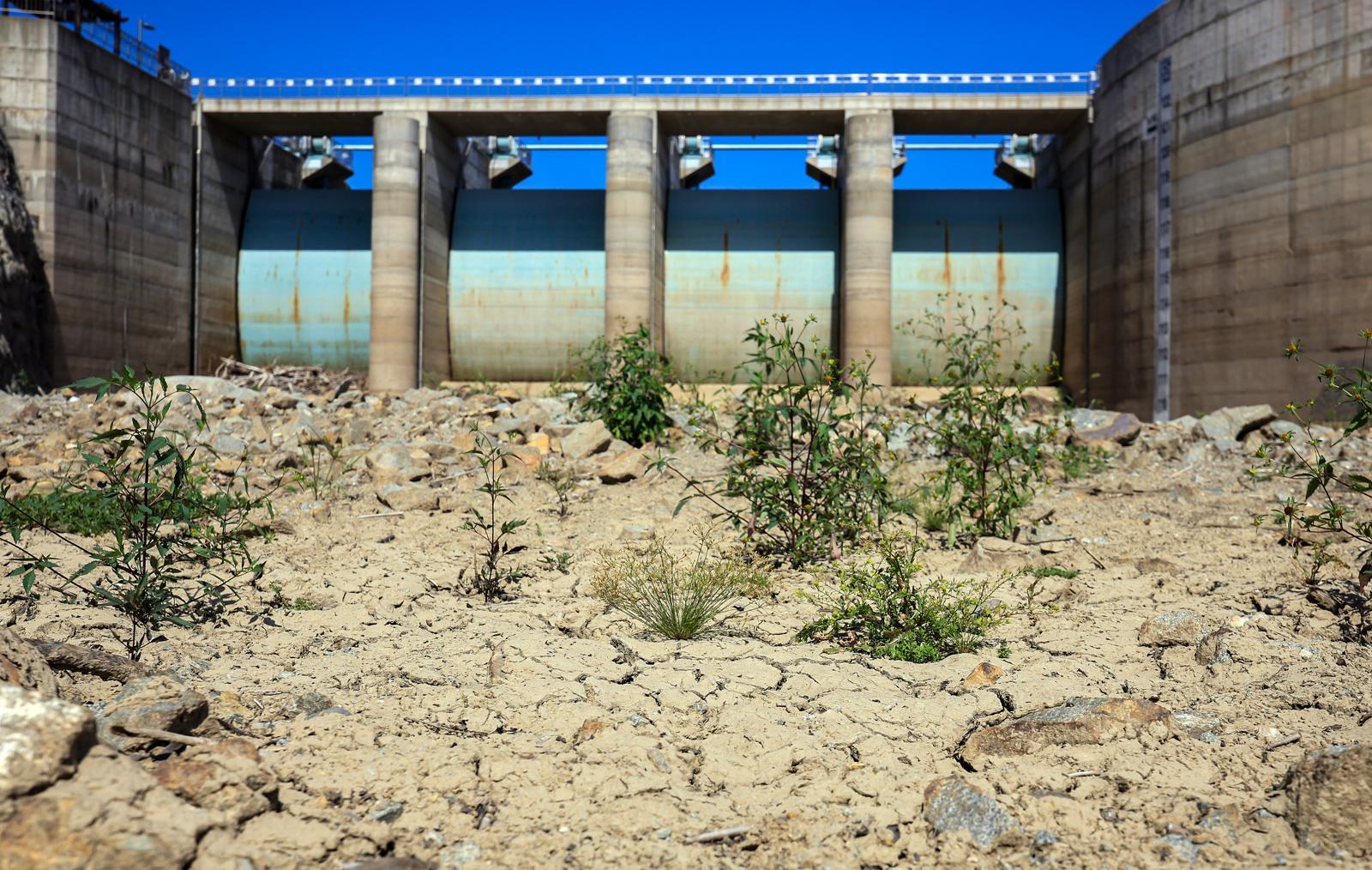 지난 여름 강원 강릉 가뭄 사태 당시 말라 있는 지역 대표 수원 오봉저수지. 뉴스1DB