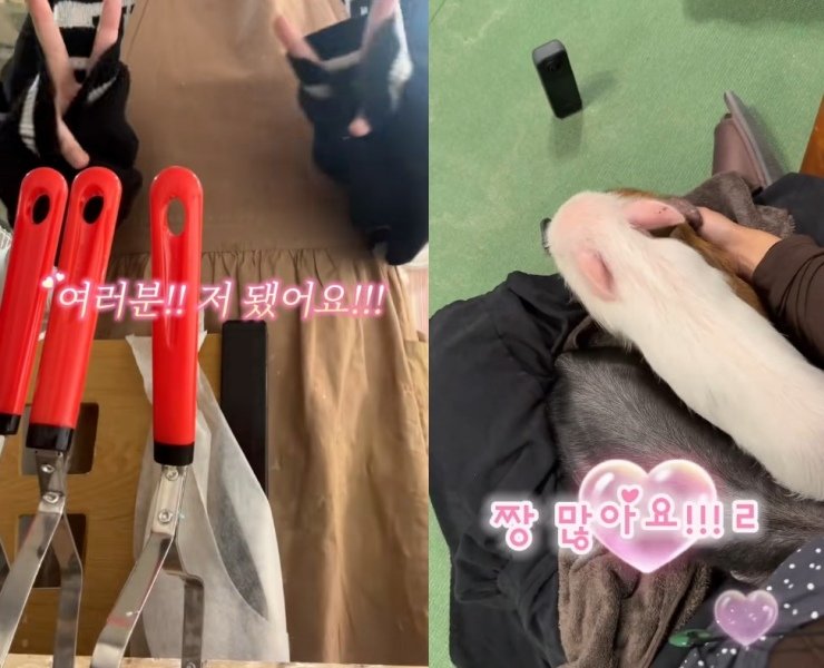 AI 음성이 쇼츠 전반에서 새로운 소비 포인트로 자리 잡고 있다. @ppong_guu, @roun.life