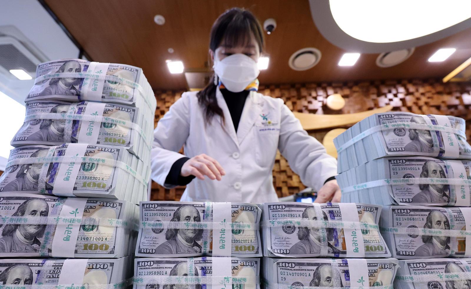 6일 서울 중구 하나은행 위변조대응센터에서 직원이 달러화를 정리하고 있다. 한국은행에 따르면 지난해 12월 말 기준 외환보유액은 4280억5000만 달러로 한 달 새 26억1000만 달러 감소했다. 역대 12월 기준으로는 외환위기가 왔던 1997년(―39억9000만 달러) 이후 가장 큰 폭으로 줄었다. 뉴스1