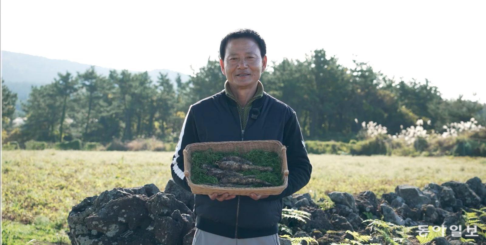 제주 서귀포시 안덕면의 강경주 씨가 직접 재배한 더덕을 선보이고 있다. 산림청 제공