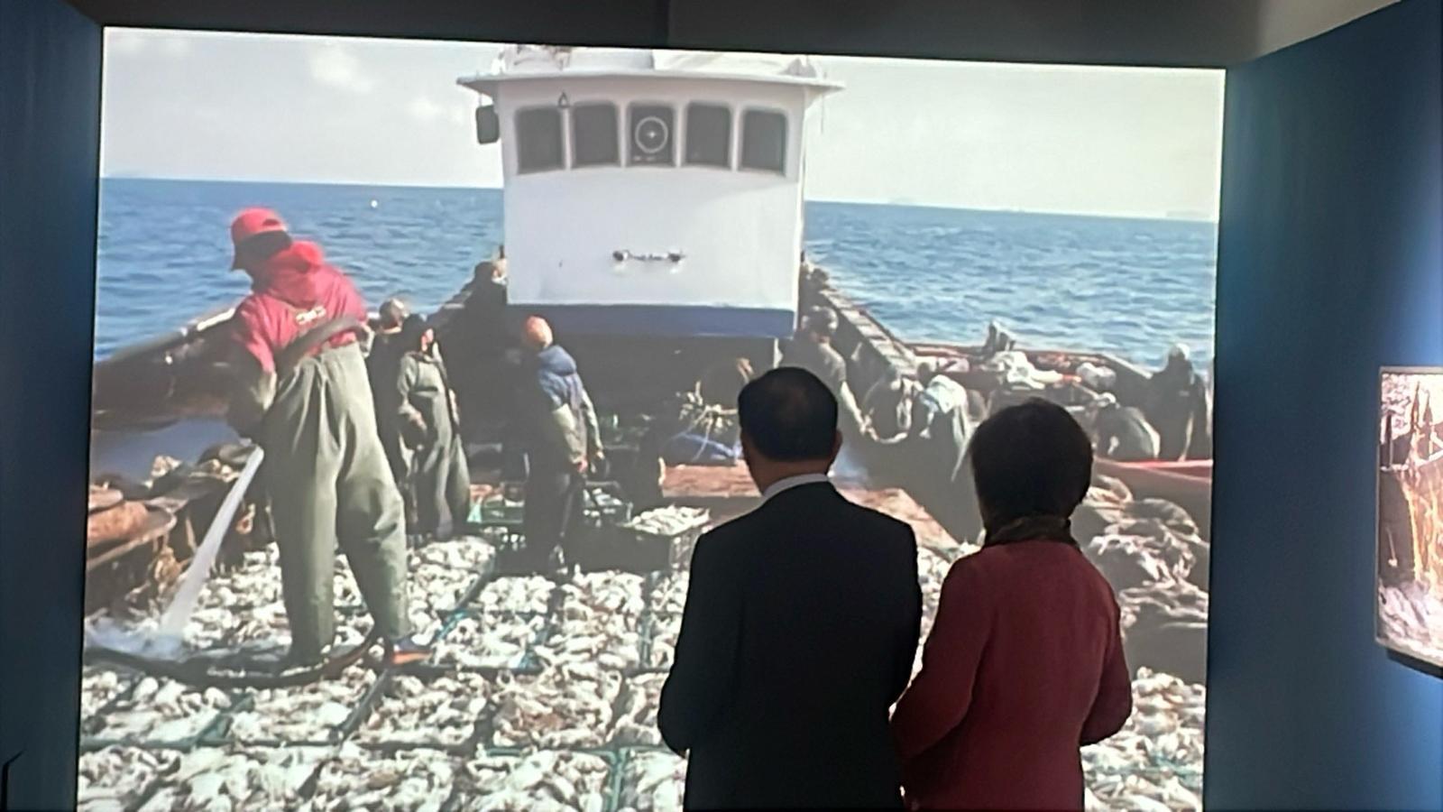 인천 연수구 옥련동 인천시립박물관을 찾은 시민들이 연평도 바다에 어선이 나가 꽃게를 잡는 장면을 촬영한 영상물을 시청하고 있다. 인천시립박물관 제공