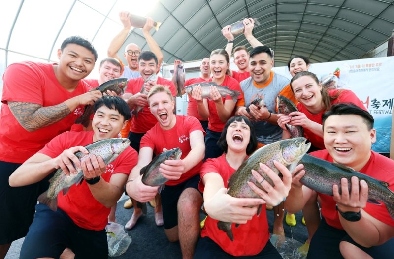평창송어축제가 9일 개막해 다음 달 9일까지 열린다. 사진은 지난해 축제 때 맨손 송어잡기에 나선 외국인 관광객들의 모습. 평창송어축제위원회 제공