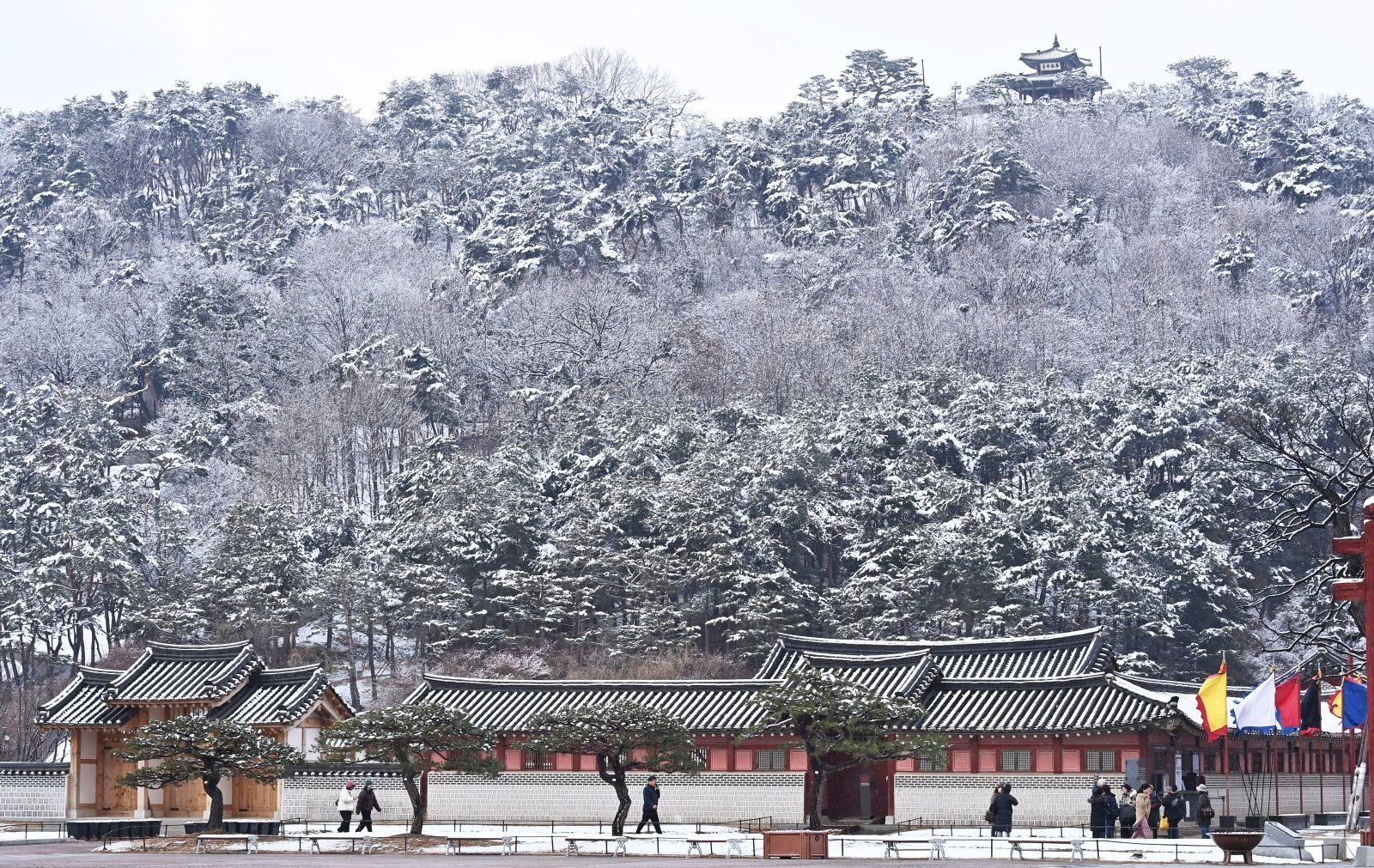 대설특보가 발효된 18일 경기도 수원시 팔달산에 하얀 눈이 쌓여 있다. 2025.03.18.[수원=뉴시스]