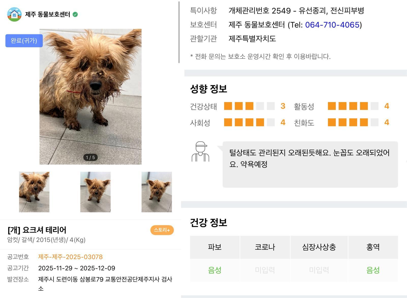 니루의 실종 공고. 현재는 ‘완료(귀가)’ 상태로 바뀌었다. 포인핸드 갈무리