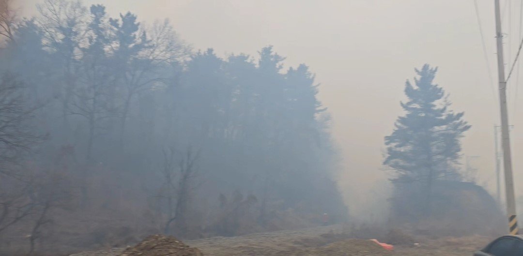 10일 오후 3시 14분쯤 경북 의성군 의성읍 비봉리의 한 야산에서 불이 나 당국이 진화하고 있다. 독자 제공