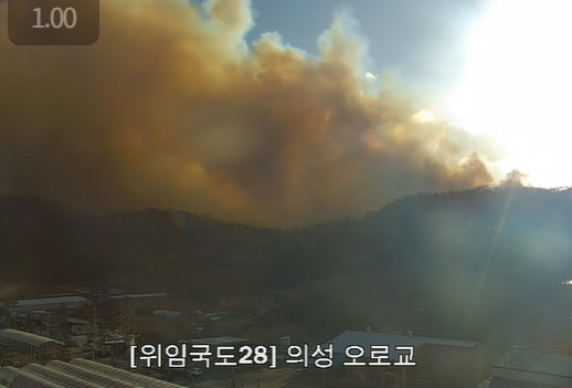 국가교통정보센터 엑스