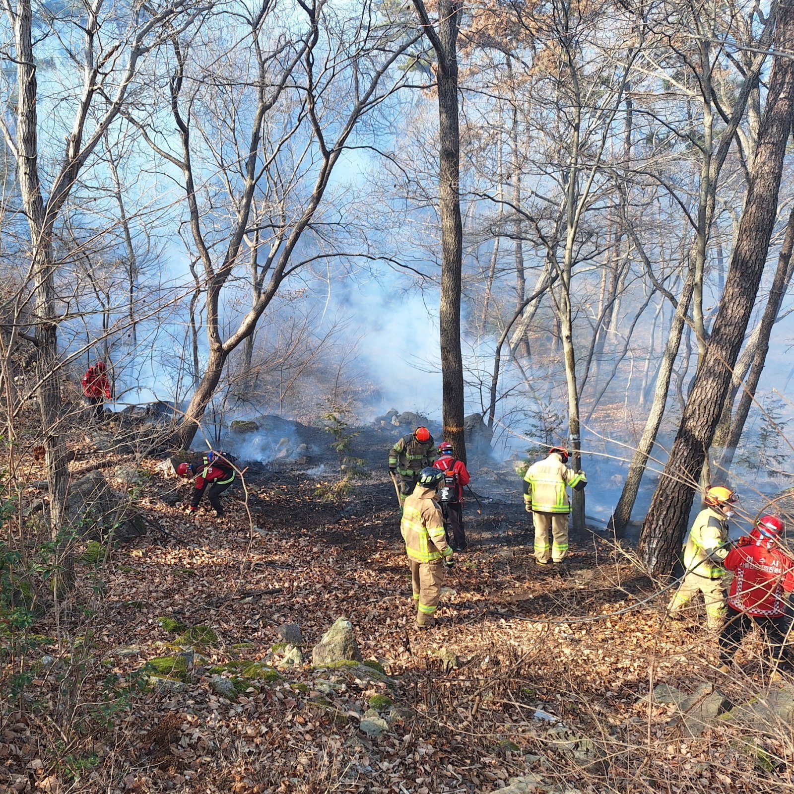 전남 여수 중흥동 산불. 여수소방 제공
