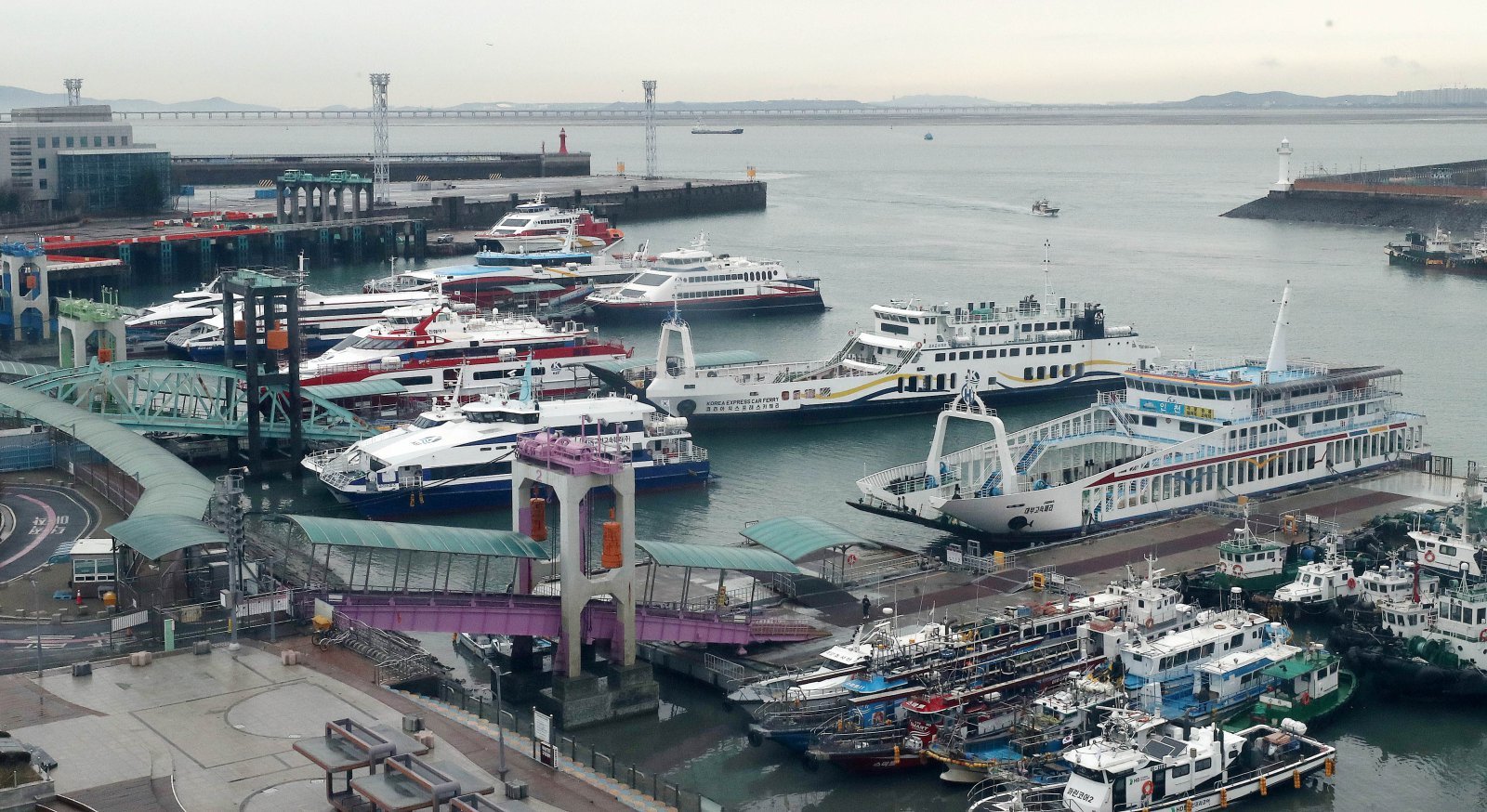 여객선 운항 중단 자료사진