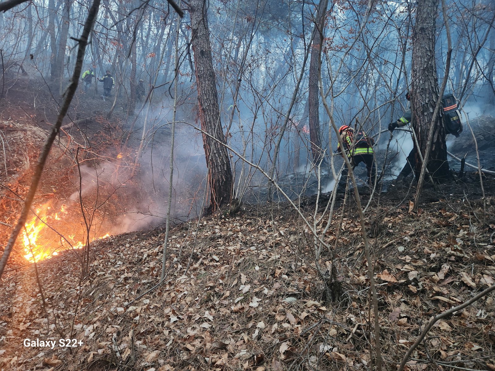 10일 오후 3시 14분쯤 경북 의성군 의성읍 비봉리의 한 야산에서 대형 산불이 발생해 소방 당국이 대응 2단계를 발령하고 진화에 나서고 있다.  경북소방안전본부 제공