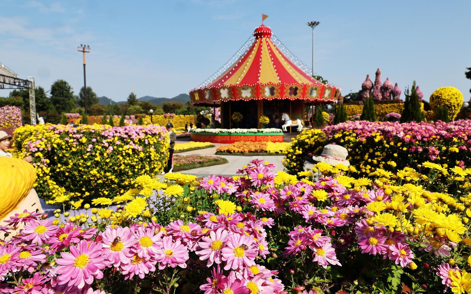 지난해 10월 24일부터 11월 9일까지 함평엑스포공원에서 열린 ‘2025 대한민국 국향대전’이 ‘2026 제14회 대한민국 축제 콘텐츠 대상’에서 축제 관광 부문 대상을 수상했다. 함평군 제공