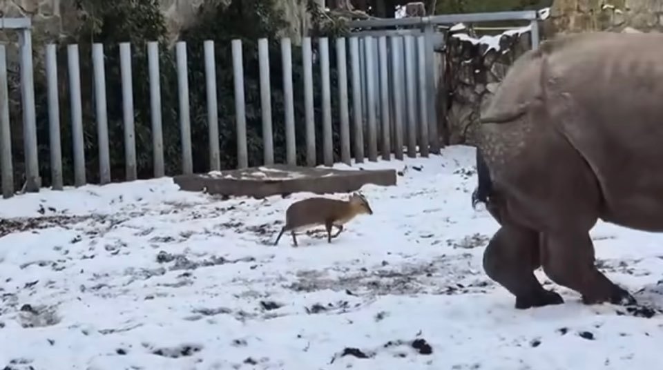 zoo wroclow 페이스북